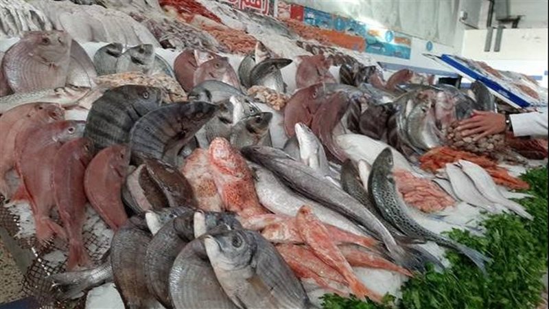 أسعار الأسماك فى