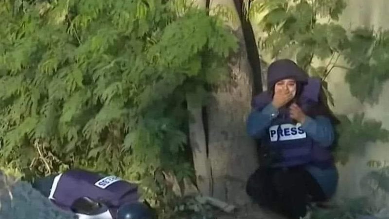 استشهاد شيرين أبو