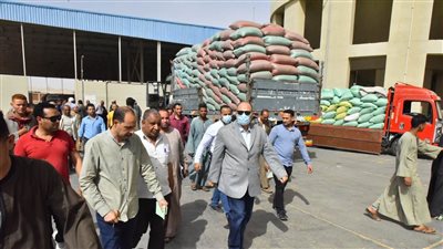 توريد 45 ألف طن قمح بـ30 مركز تجميع وصومعة بأسيوط