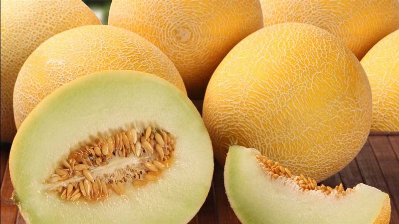 تفسير رؤية الكنتالوب