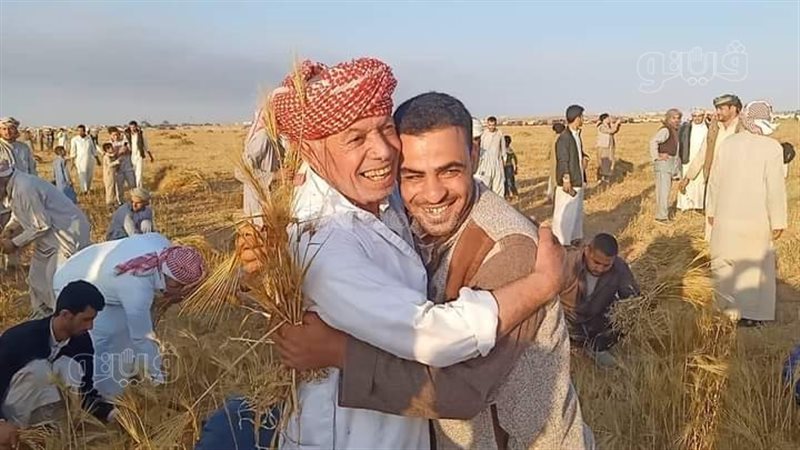 الحصاد الخيري بمدينة