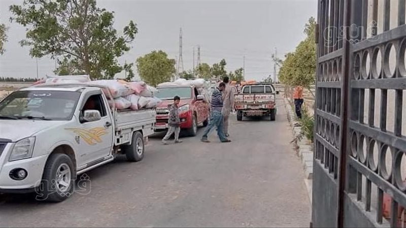 جانب من صوامع القمح