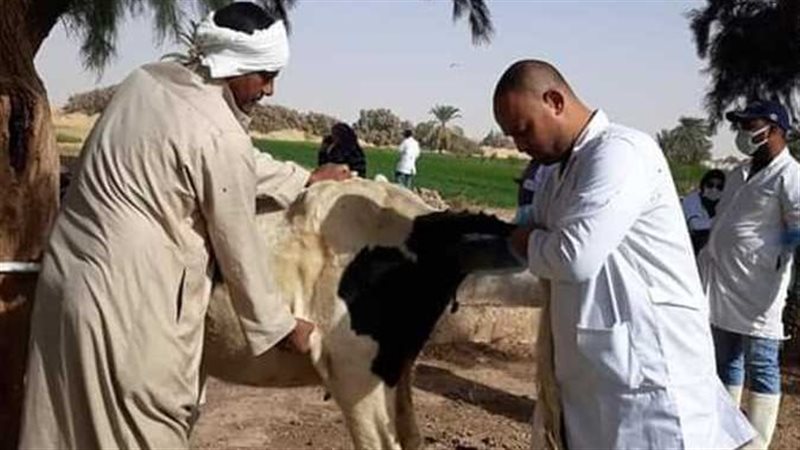 القوافل البيطرية