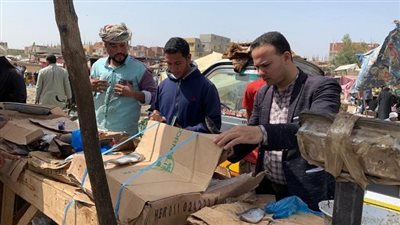 صحة الشرقية: إعدام 4 أطنان مخللات وأسماك فاسدة 