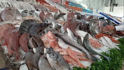 أسعار الأسماك اليوم الخميس 19-5-2022 في قنا