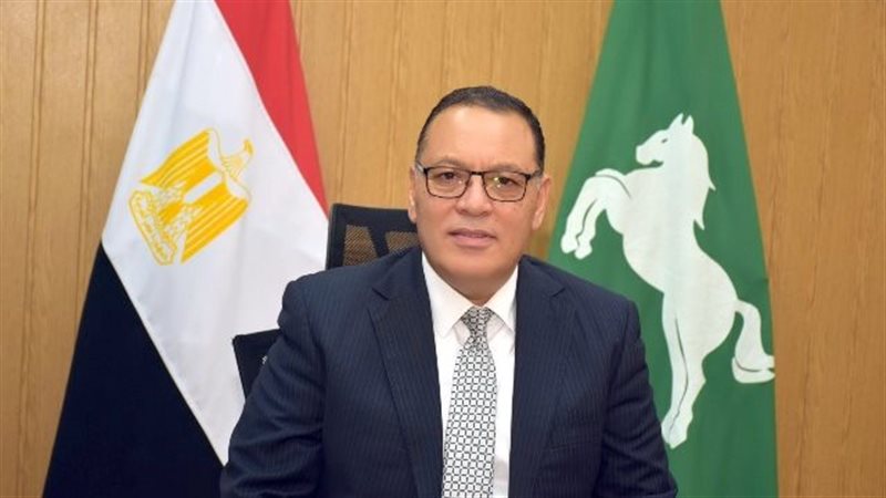 محافظ الشرقية 