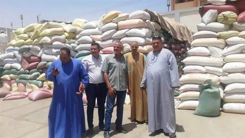 محافظ سوهاج توريد