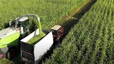 بعد بدء حصاد القمح في مشروع مستقبل مصر، تعرف على جهود الدولة لتحقيق الأمن الغذائي 