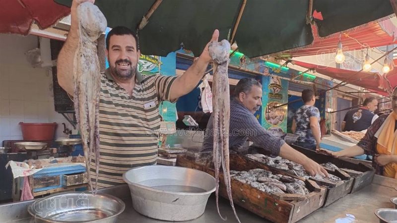 مول السمك في بورسعيد