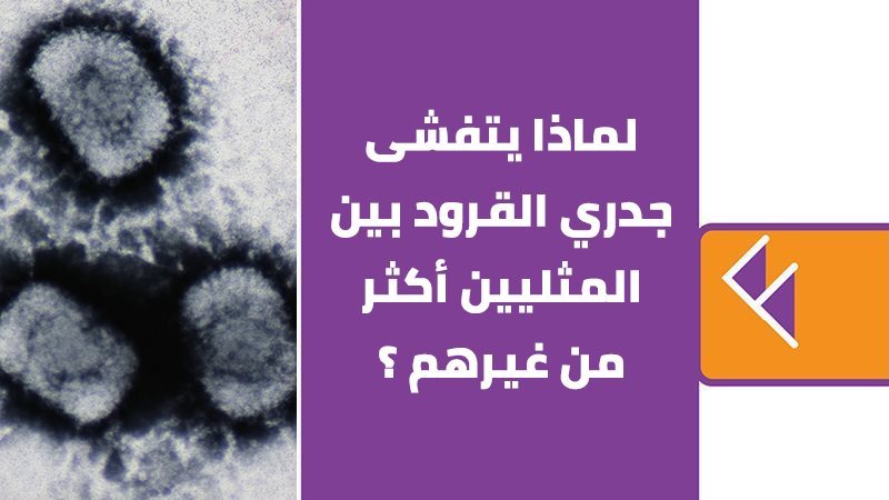 جدري القرود