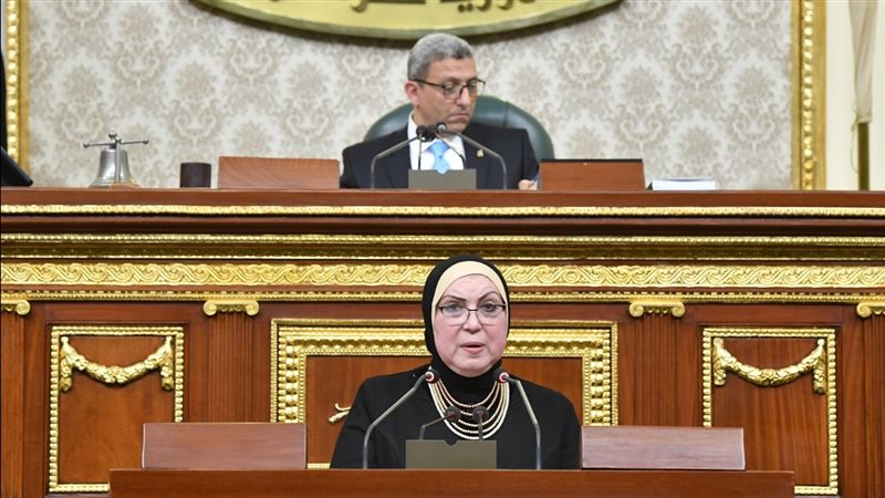 نيفين جامع وزير التجارة