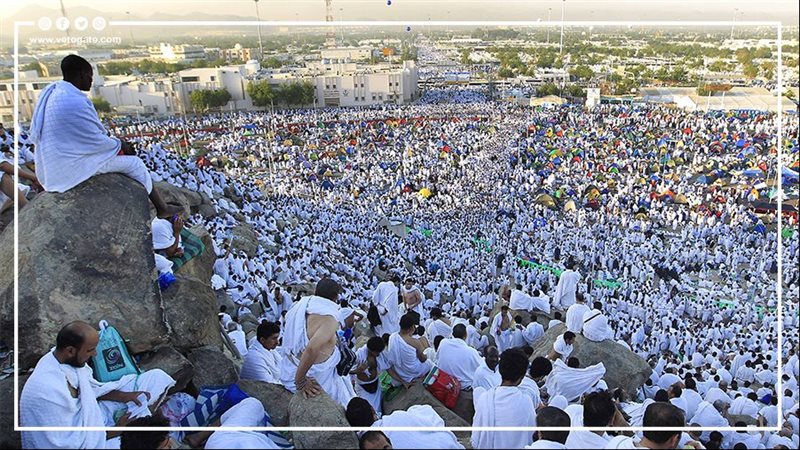 الحجاج
