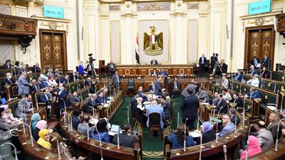 وفد زراعة البرلمان يتفقد منشآت متضررة من المياه الجوفية بسيوة 