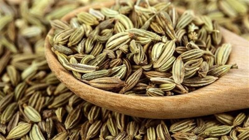 فوائد الشمر