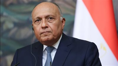 شكري يبحث مع مبعوث المناخ الصيني موضوعات الدورة الـ24 لمؤتمر الأطراف بشرم الشيخ
