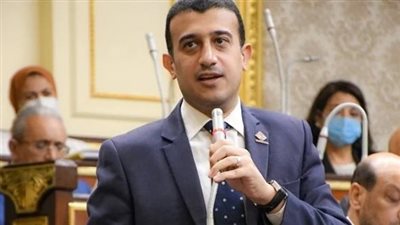 طارق الخولى: الإفراج عن غارمين وغارمات بعفو رئاسى قريبا