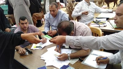 التضامن تسلم مشروعات الإنتاج الحيواني للمستفيدين بمحافظة شمال سيناء