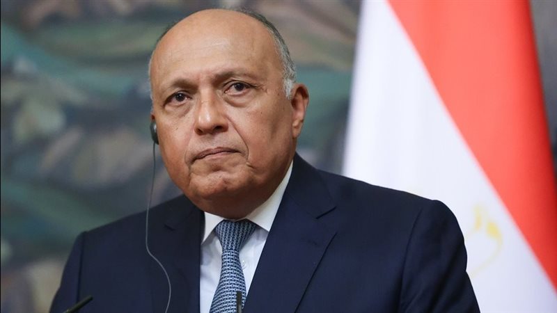 سامح شكري وزير الخارجية
