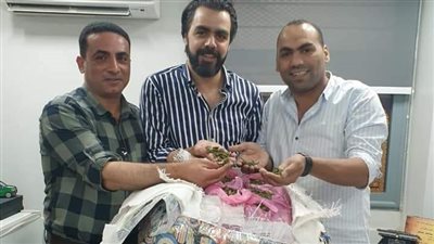 إحباط محاولة تهريب 40 كيلو من مخدر القات بمطار القاهرة