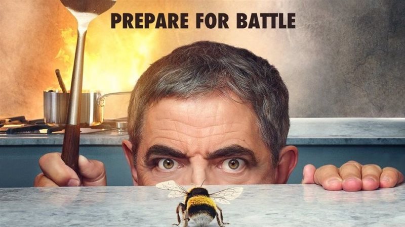 Man vs Bee