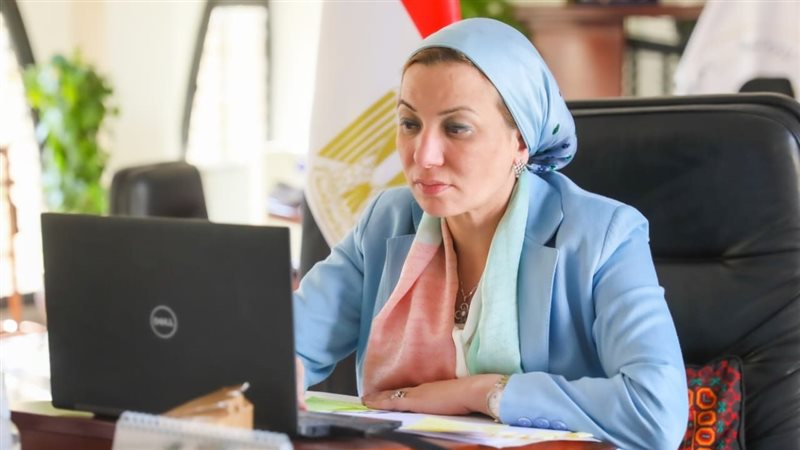 الدكتورة ياسمين فؤاد