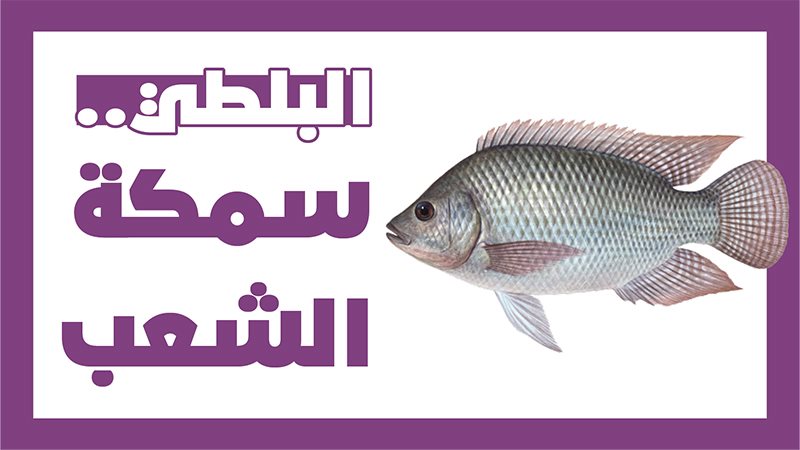 فيتو