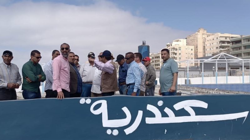 نشرة أخبار الإسكندرية