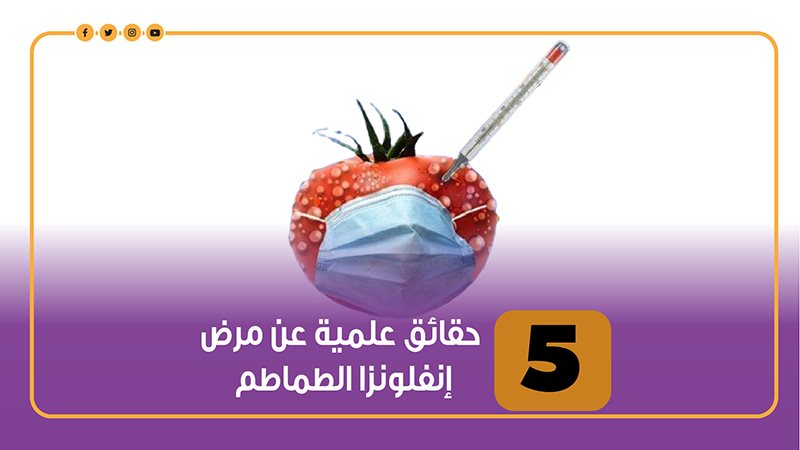 انفلونزا الطماطم