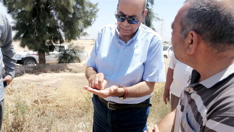 رئيس جامعة المنيا