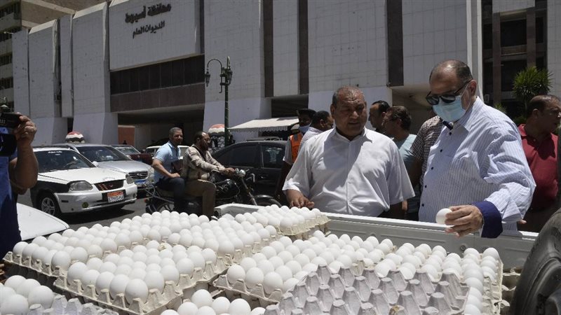 محافظ أسيوط يتفقد