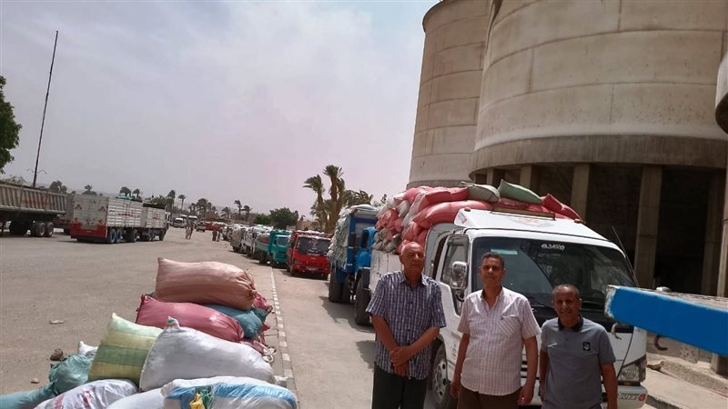 توريد قمح 
