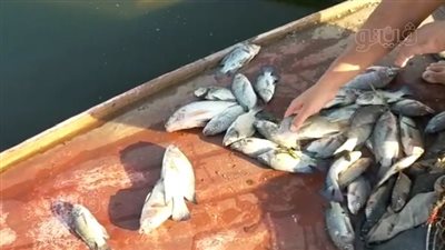 استجابة لـ 