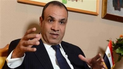 سفير مصر ببروكسل يبحث مع وزيرة الطاقة البلجيكية التعاون بمجال الطاقة والتحول الأخضر