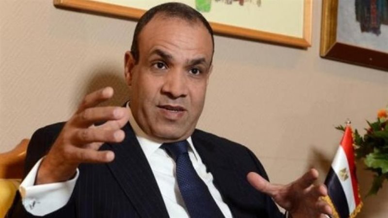 السفير بدر عبد العاطى