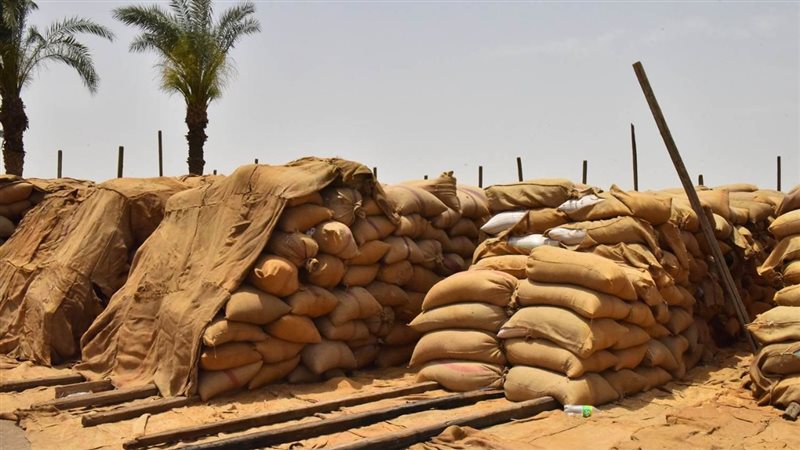 توريد القمح بأسيوط