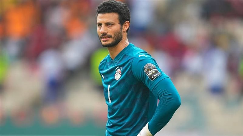 محمد الشناوي 