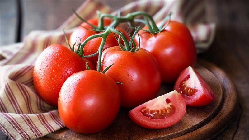 الطماطم ارشيفية 