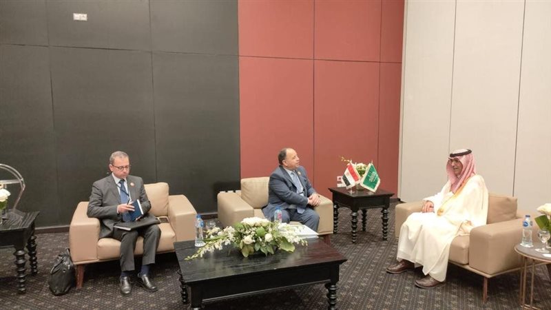 لقاءات وزير المالية