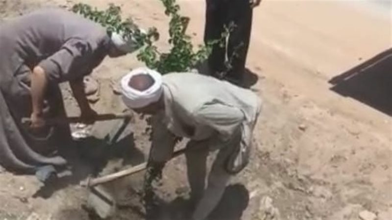 حملة التشجير 