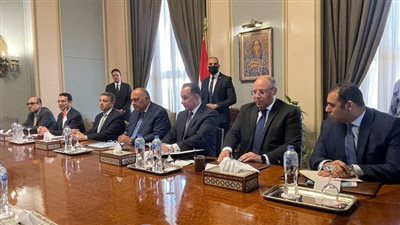 بدء جلسة مشاورات موسعة بين سامح شكرى ووزيرة خارجية تنزانيا |صور 