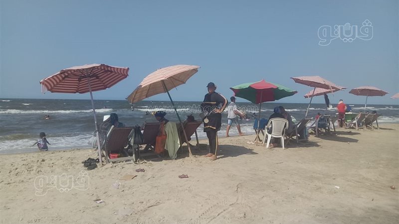 الاسكندريه 