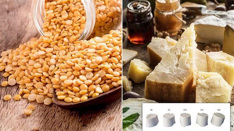 تصنيع جبن من البازلاء