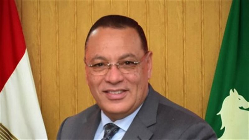 محافظ الشرقية