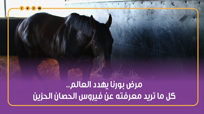 مرض الحصان الحزين