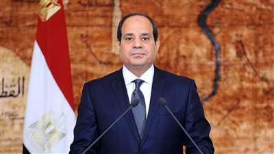السيسي: قررنا تأجيل زيادة أسعار الكهرباء للمرة الثالثة لتخفيف الأعباء عن المواطنين | فيديو