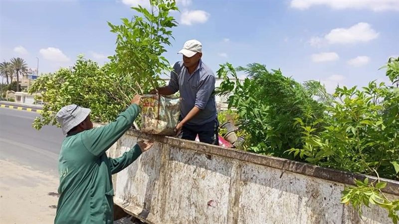 حملة نظافة في الجيزة