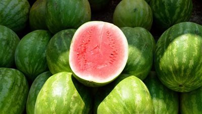 الزراعة تبرئ المبيدات المهرمنة من حالات تسمم البطيخ وتكشف السبب الحقيقي | فيديو