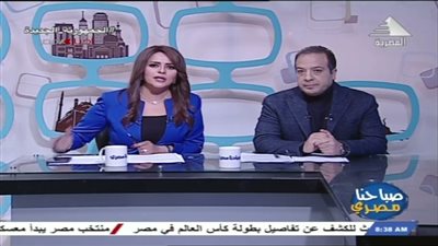 أستاذ اقتصاد: مصر دولة جاذبة للاستثمارات الأجنبية|فيديو