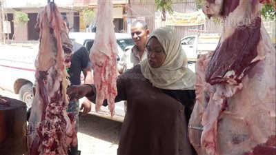 ضبط 151 كيلو لحوم ودواجن وأسماك فاسدة بأسوان | صور