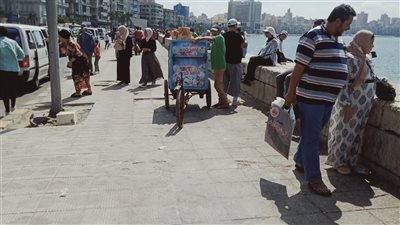 حالة الطقس غدا السبت 18-06-2022 في الإسكندرية
